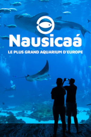 Nausicaa: The Largest Aquarium in Europe Nausicaa: The Largest Aquarium in Europe