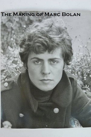 The Making of Marc Bolan The Making of Marc Bolan