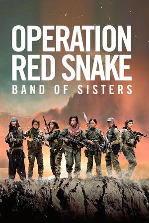 Sisters in Arms Sisters in Arms