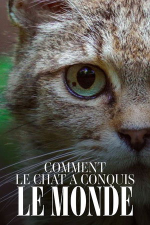 Comment le chat a conquis le monde Comment le chat a conquis le monde