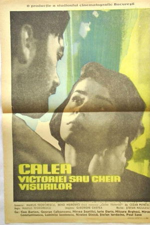 Calea Victoriei sau cheia visurilor Calea Victoriei sau cheia visurilor