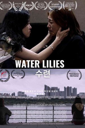 Water Lilies Water Lilies