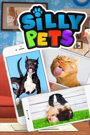 Silly Pets