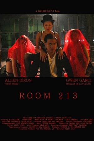 Room 213 Room 213