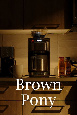 Brown Pony Brown Pony