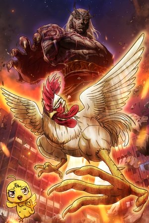 Rooster Fighter Rooster Fighter