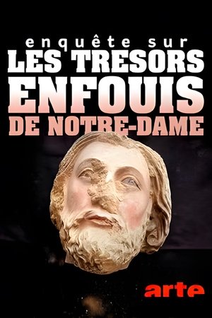 Enquête sur les trésors enfouis de Notre-Dame de Paris Enquête sur les trésors enfouis de Notre-Dame de Paris
