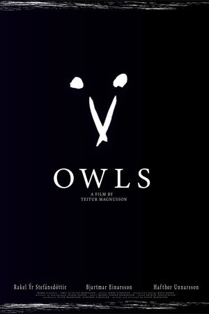 Owls Owls