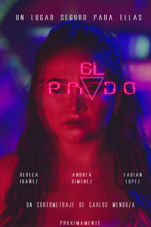 The Meadow The Meadow