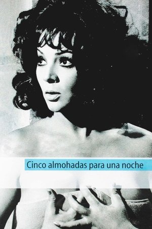 Five Pillows for One Night Five Pillows for One Night