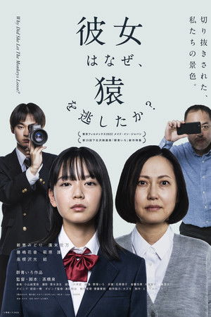 Why Did She Let the Monkeys Loose?