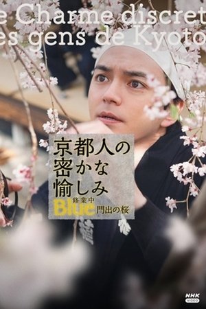 京都人の密かな愉しみBlue修業中 門出の桜