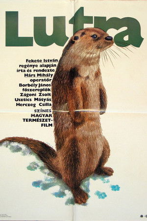 Lutra Lutra