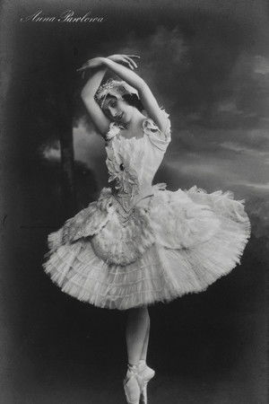 The Dying Swan The Dying Swan