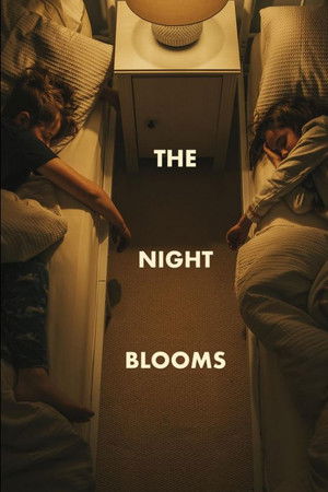 The Night Blooms The Night Blooms