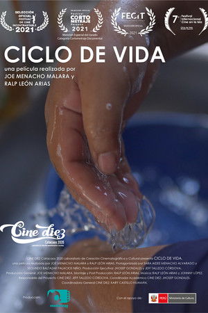 Ciclo de Vida Ciclo de Vida