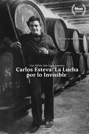 Carlos Esteva: the fight for the invisible