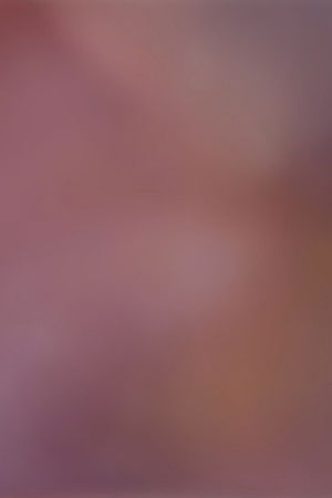 Finding Vision, Finding Voice Finding Vision, Finding Voice