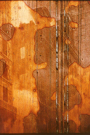 Tradition Is the Handing on of Fire and Not the Worship of Ashes Tradition Is the Handing on of Fire and Not the Worship of Ashes