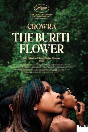 The Buriti Flower The Buriti Flower