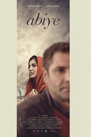 The Embroidered Dress