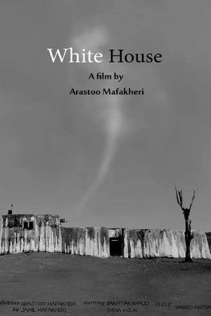 White House White House