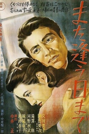 Till We Meet Again Till We Meet Again