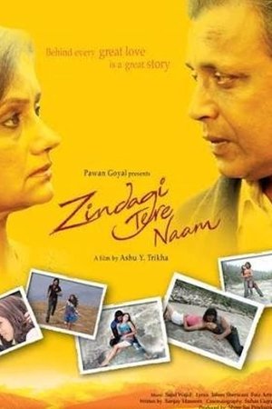 Zindagi Tere Naam Zindagi Tere Naam