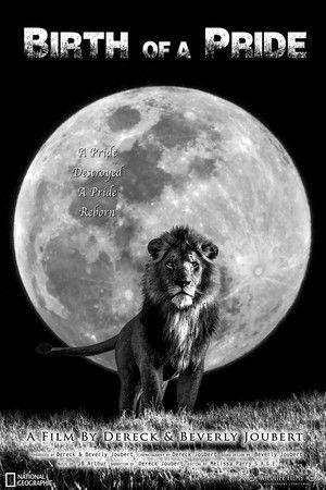 Birth of a Pride Birth of a Pride