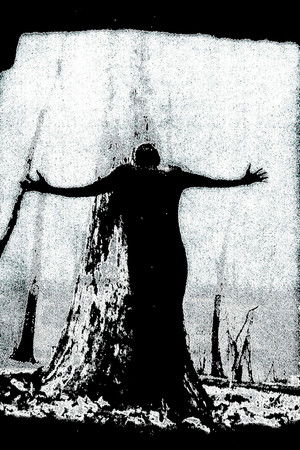 IIsandra In Ruin IIsandra In Ruin