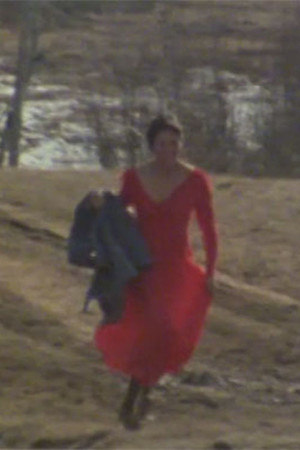 The Red Dress The Red Dress