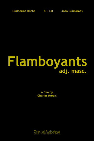Flamboyants Flamboyants
