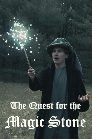 The Quest for the Magic Stone