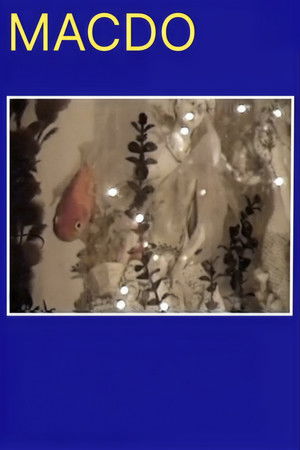 Macdo Macdo