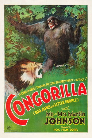 Congorilla Congorilla