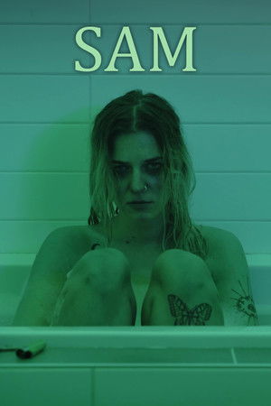 Sam Sam