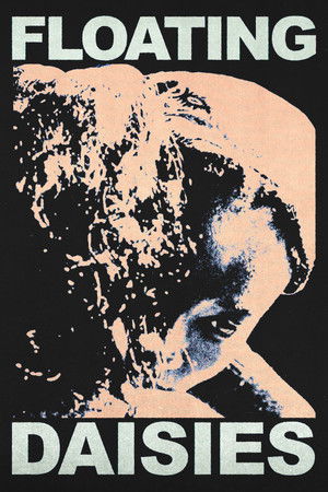 Floating Daisies Floating Daisies