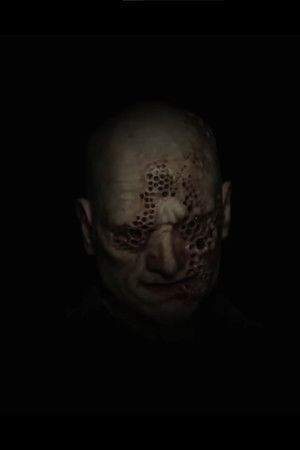 Trypophobia Trypophobia