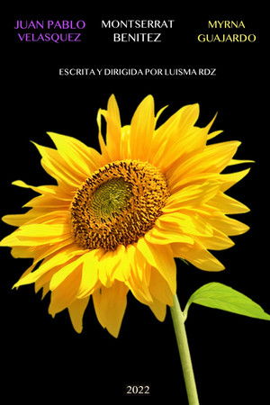 De la Noche a la Mañana De la Noche a la Mañana