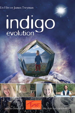 The Indigo Evolution The Indigo Evolution