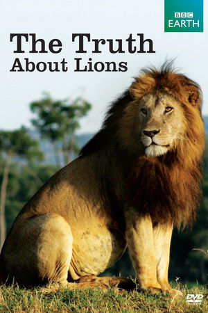 The Truth About Lions The Truth About Lions