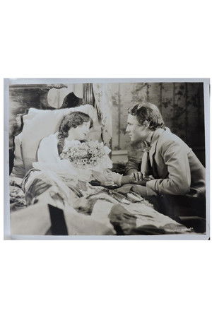 The Wreck of the Hesperus The Wreck of the Hesperus