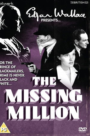 The Missing Million The Missing Million