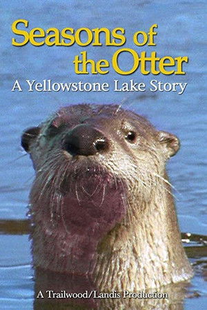 Seasons of the Otter Seasons of the Otter