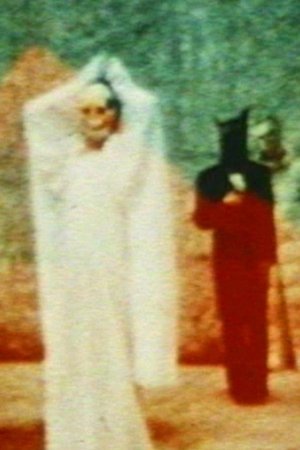 In the Shadow of the Sun In the Shadow of the Sun