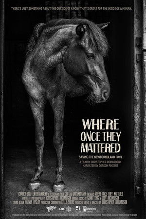 Where Once They Mattered Where Once They Mattered