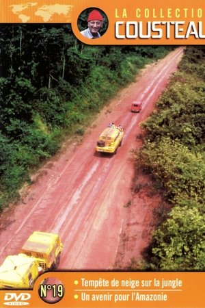 The Cousteau Collection N°19-1 | Amazon: Snowstorm in the Jungle