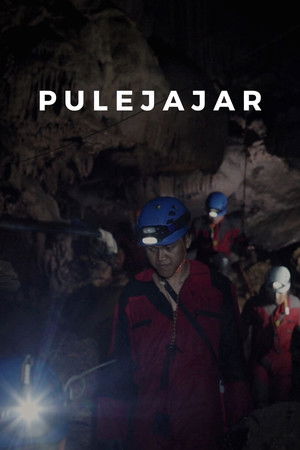 Pulejajar Pulejajar