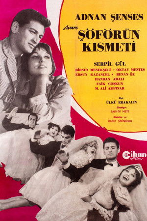 Avare Şoförün Kısmeti Avare Şoförün Kısmeti