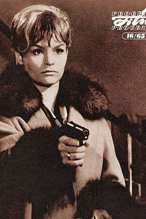 The Story of a Murder The Story of a Murder